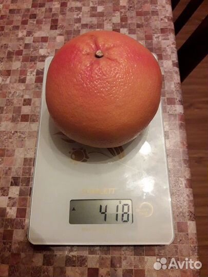 Весы кухонные Scarlett