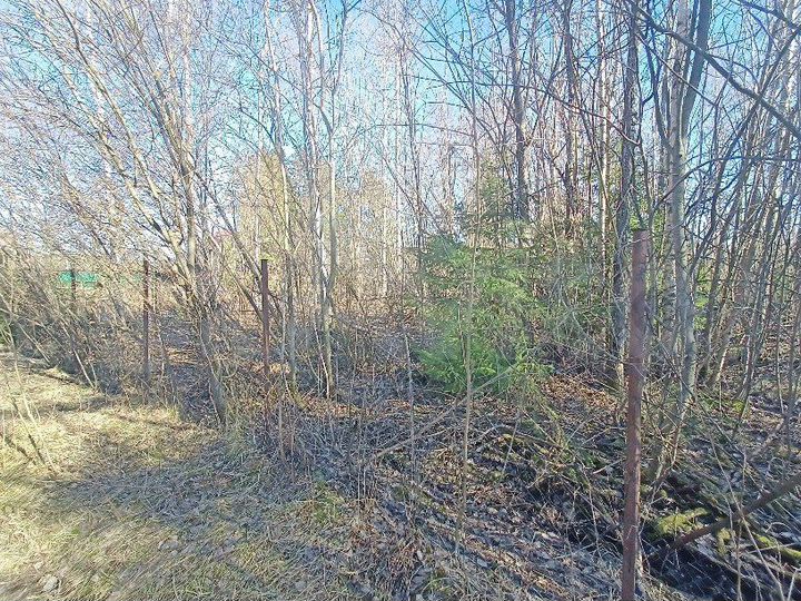 Участок 10 сот. (СНТ, ДНП)