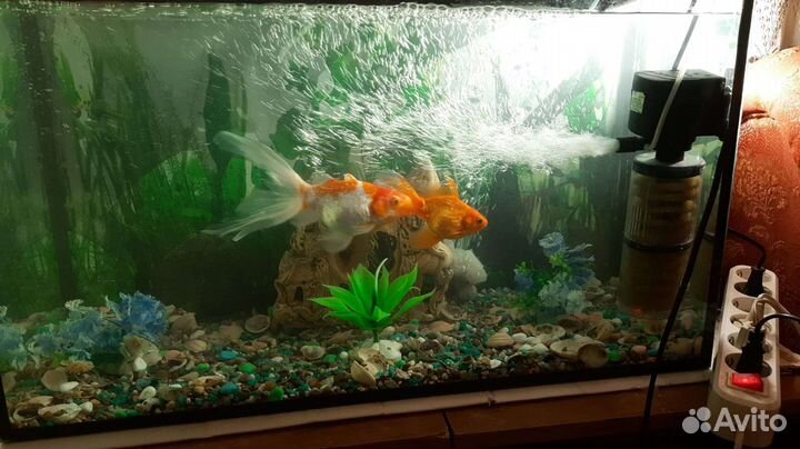 Аквариум