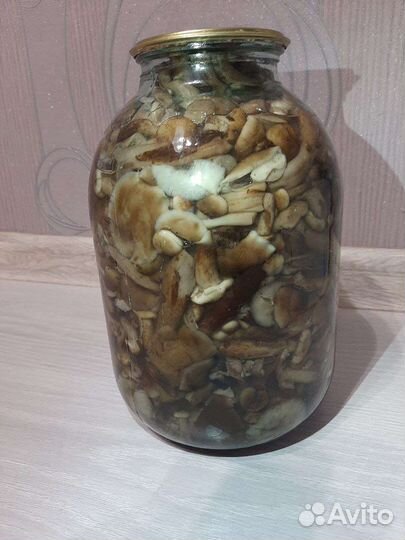 Грибы маринованные