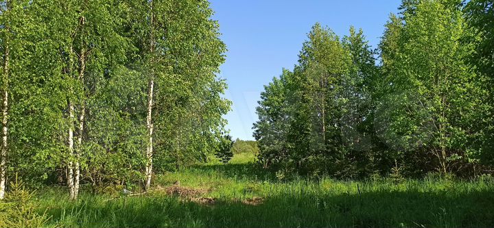 Участок 8 сот. (ИЖС)