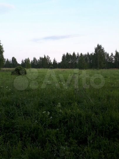 Участок 8,15 га (СНТ, ДНП)