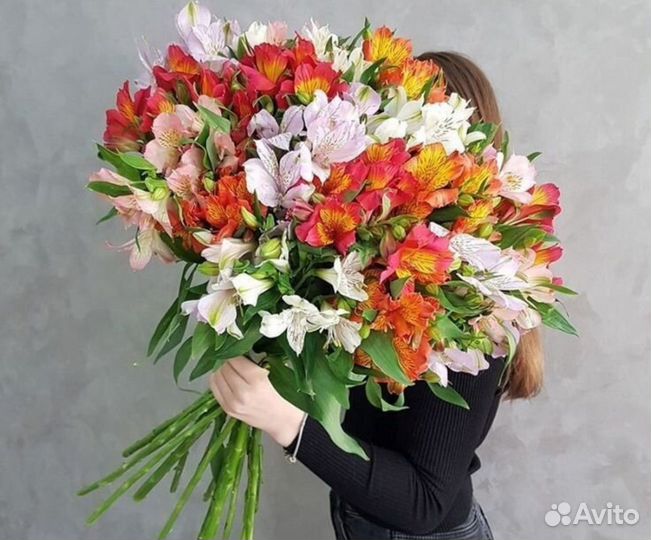 Альстромерия с доставкой 24ч