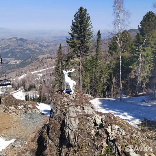 Туры в Горный Алтай