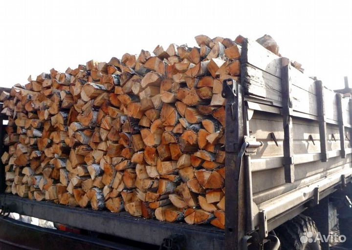 Береза на выбор