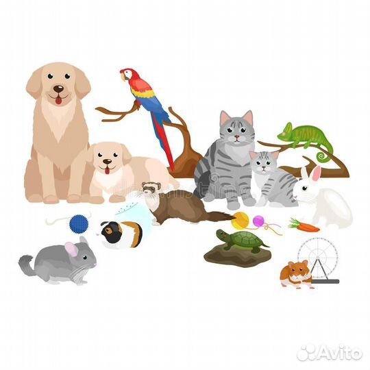 Корма для животных