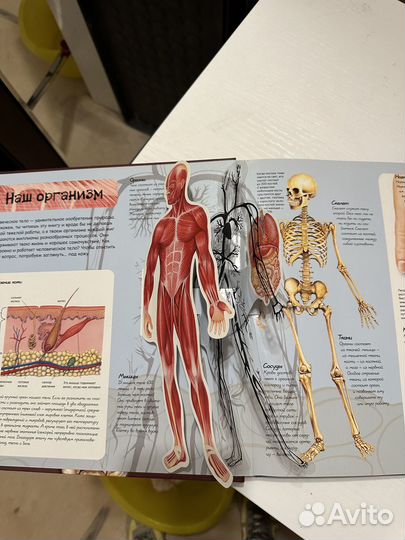 Отдам или продам книги