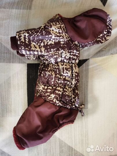 Осенняя куртка для собак мелкий пород