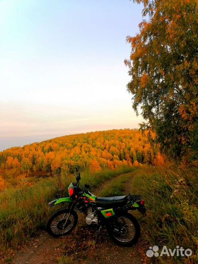 Рейсер 150 кубов