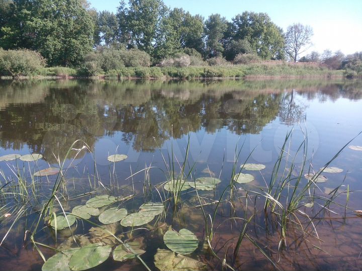 Участок 20 сот. (ИЖС)