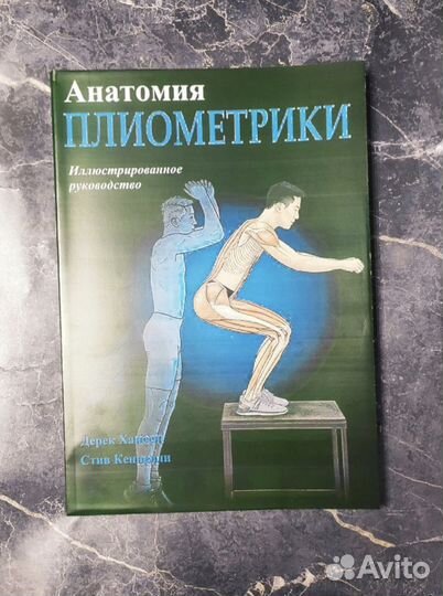 Анатомия плиометрики