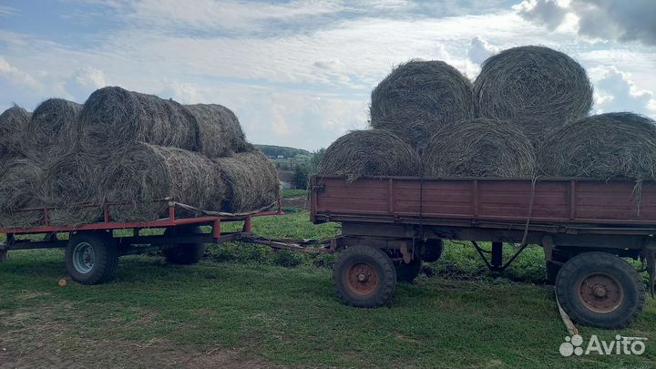 Продам сено в рулонах луговое костёр