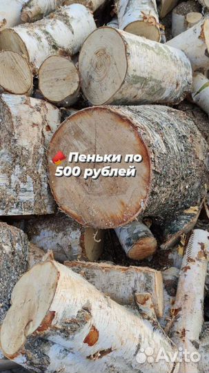 Пень березовый