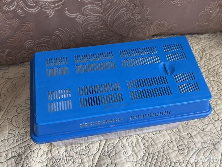 Мышь в добрые руки