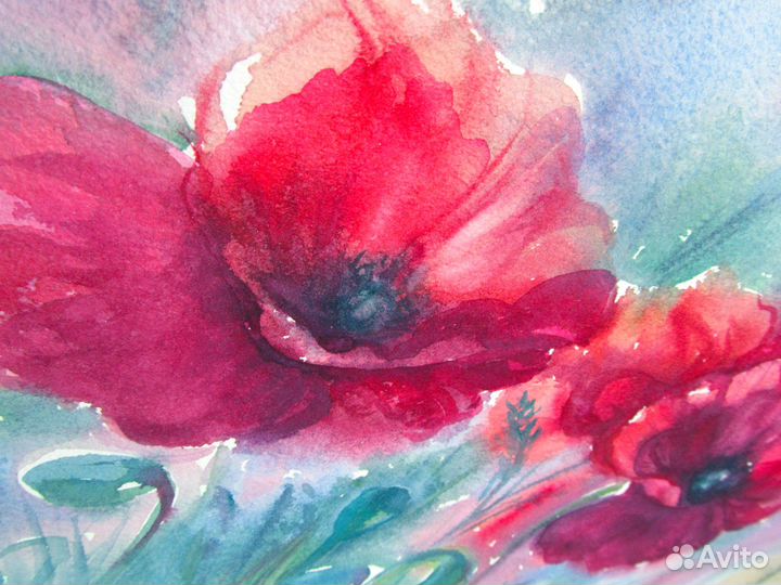 Красные маки. Картина цветы акварелью. Крупные цве
