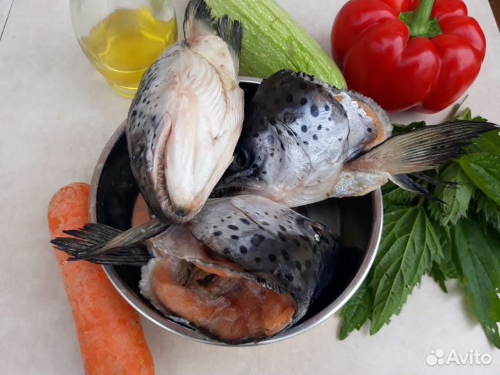 Мясо для собак