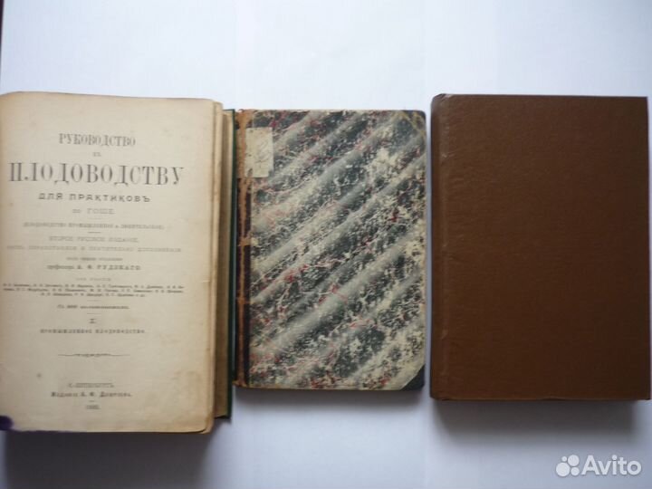 Пашкевич В.В. Учебник садоводства для низших школ