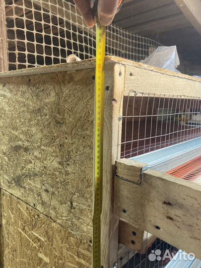 Клетки для перепелов