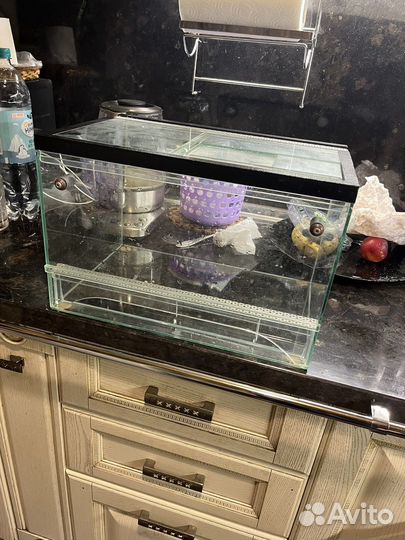 Террариум для паука б/у