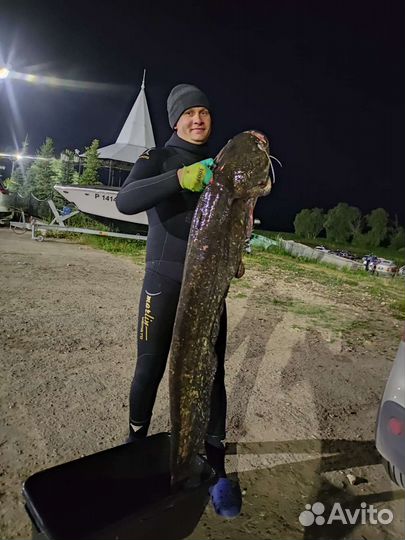 Свежая речная рыба раки