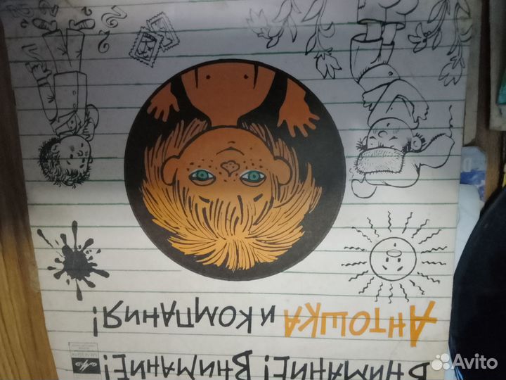 Виниловые пластинки