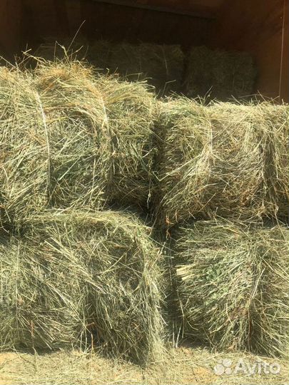 Сено и Опилки в тюках