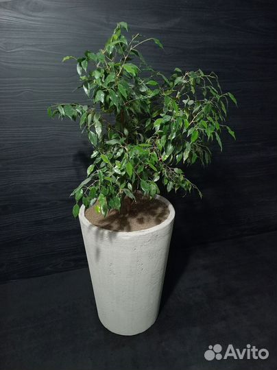 Вазоны, Горшки, Кашпо под заказ из бетона арт 118