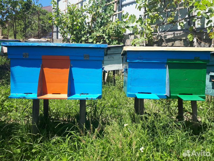 Продаеться ульи с пчелами