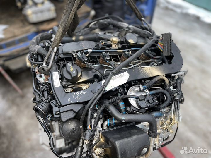 Двигатель 651950 V-Class Vito