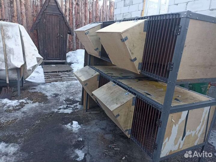 Промышленные клетки для кроликов