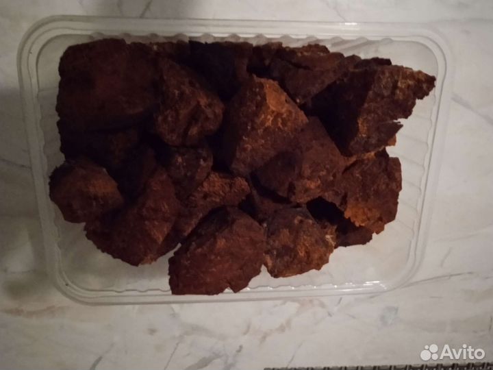 Березовый гриб чага