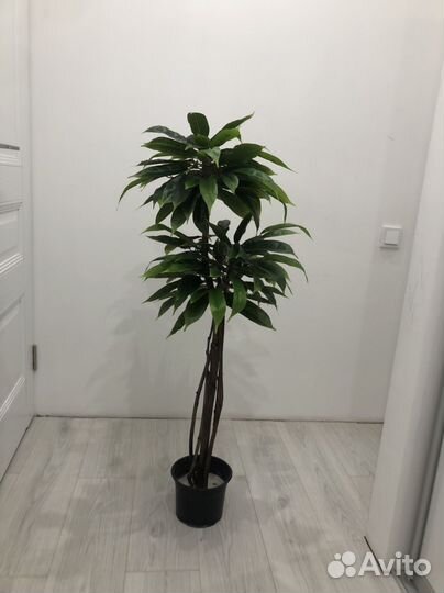 Манго искусственное дерево