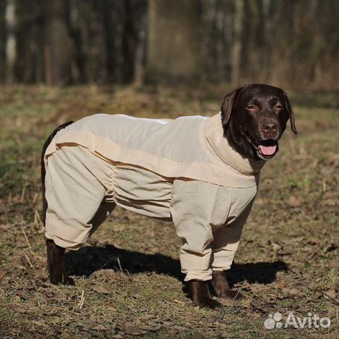 Комбинезоны-пыльник с ловушками от клещей д/собак