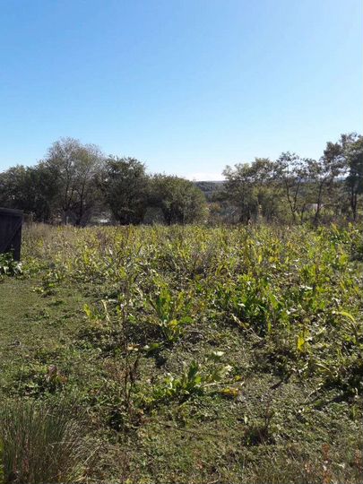 Дом 51,8 м² на участке 22 сот.