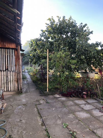 Дом 55 м² на участке 6 сот.