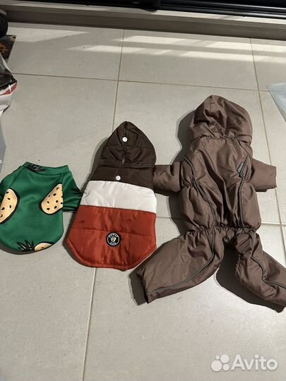 Вещи для маленьких собак