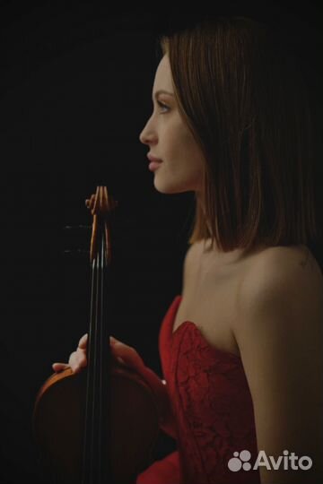 Педагог, репетитор по скрипке