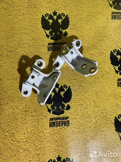 Петли задней левой двери церато 3