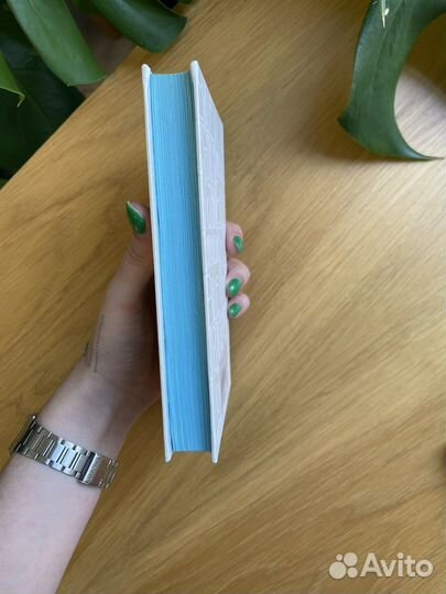 Выше стропила плотники, Книга Сэлинджер