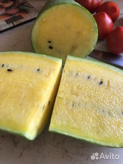 Рассада арбуза и дыни,тыквы мускатной