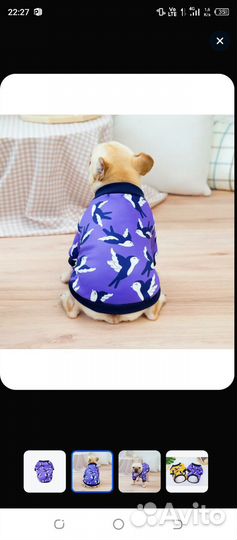 Новая кофта на собаку