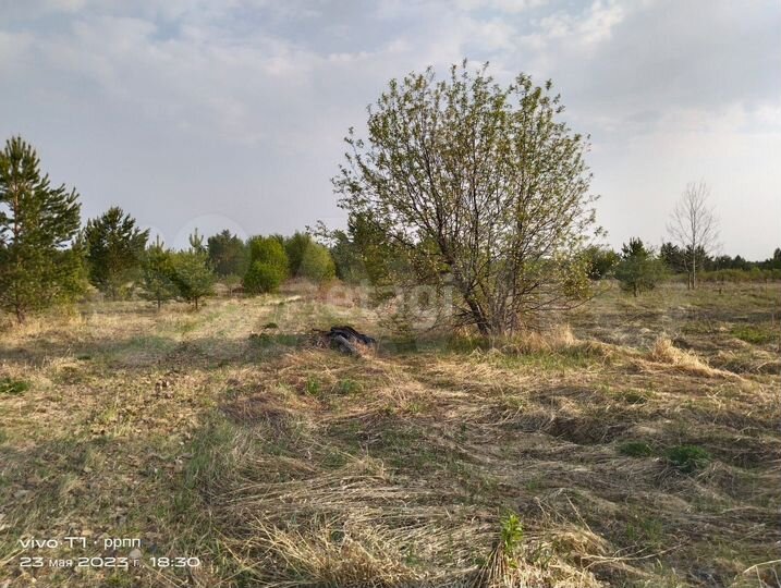 Участок 15,1 сот. (личное подсобное хозяйство (лпх))