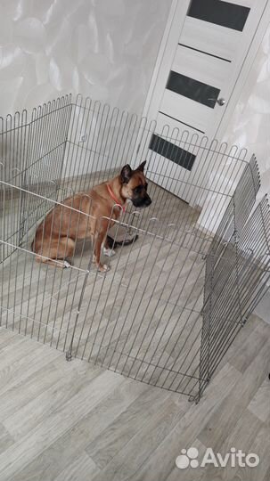 Вольер для собак в квартиру