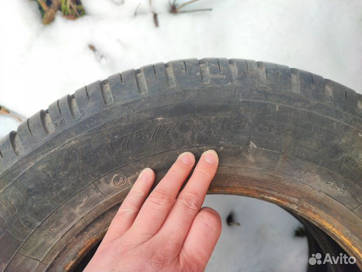 Белшина Artmotion Бел-253 175/70 R13