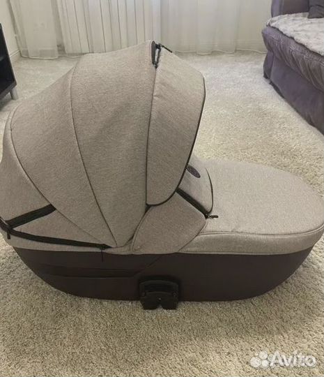 Коляска adamex cortina 2в1