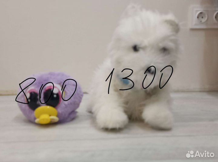 Механическая игрушка