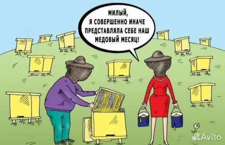 Апи-домик, сон на ульях, био поле пчёл