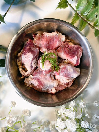 Правильное питание для собак, кошек