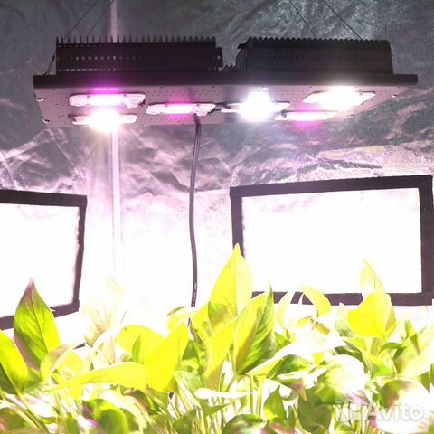 Фитолампа для растений полный спектр 300 ватт купить в Москве | Товары ...