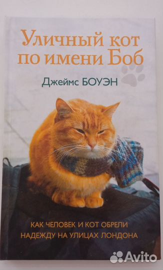 Уличный кот по имени Боб и Мир глазами кота Боба